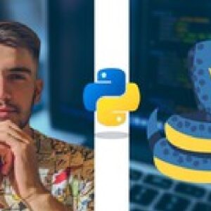 Programming in Python for Beginners